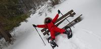 Der Schneestern auf der Bank &ndash; &copy; Alina Konstantinov (Eberhardt TRAVEL)