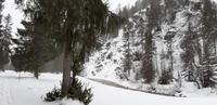 Schnee (2)
