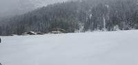 Schnee &ndash; &copy; Alina Konstantinov (Eberhardt TRAVEL)