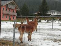 Unsere Nachbarn (2) &ndash; &copy; Alina Konstantinov (Eberhardt TRAVEL)