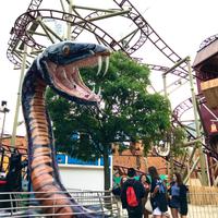 Prater (3) &ndash; &copy; Alina Konstantinov (Eberhardt TRAVEL)