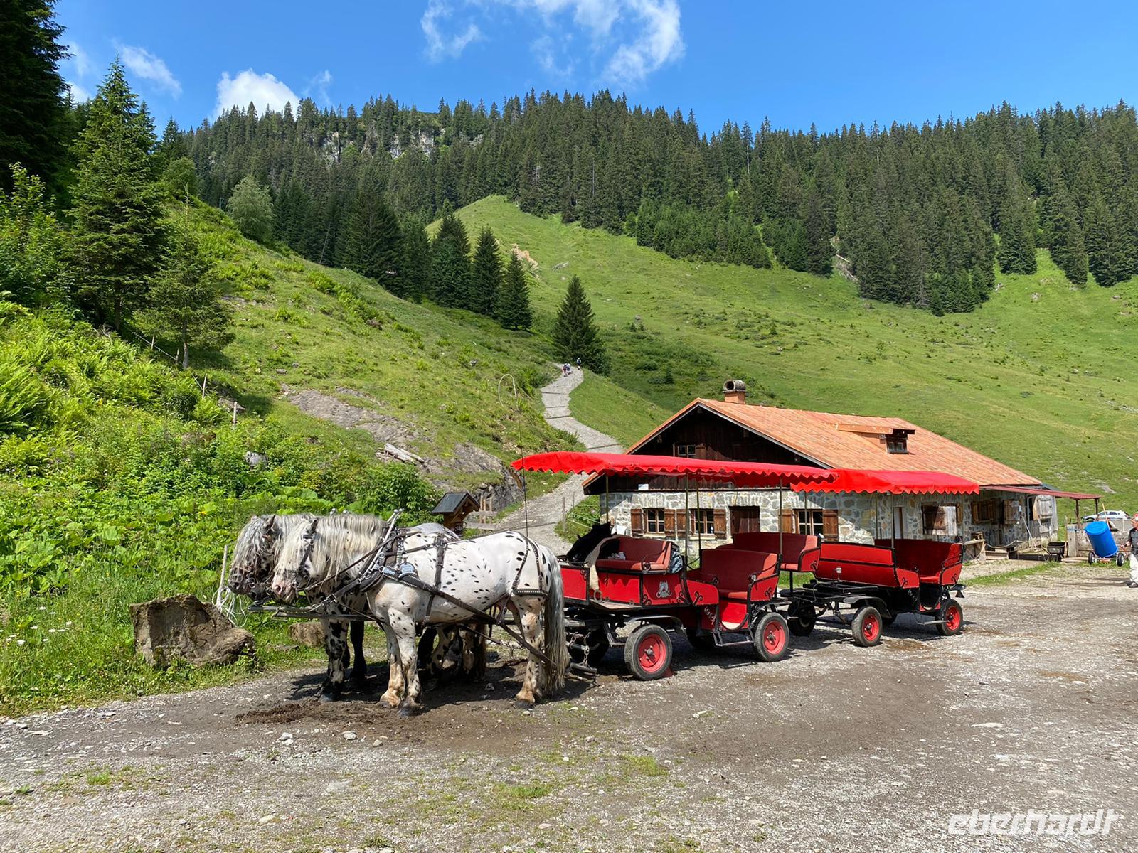 Unsere Kutsche &ndash; &copy; Lena Kleemann (Eberhardt TRAVEL)