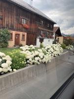 img_1839 (1)