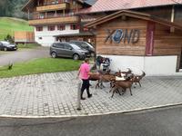 Ziegen in der Stadt &ndash; &copy; Lena Kleemann (Eberhardt TRAVEL)