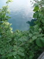 Bleder See &ndash; &copy; Kerstin Hugel (Eberhardt TRAVEL)
