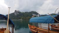 Pletna Boote &ndash; &copy; Rainer Kasüschke (Eberhardt TRAVEL)