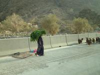 046 im Hajar-Gebirge &ndash; &copy; Patrick Fritzsche (Eberhardt TRAVEL)