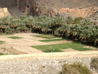 105 im Wadi Gul &ndash; &copy; Patrick Fritzsche (Eberhardt TRAVEL)