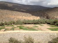 106 im Wadi Gul &ndash; &copy; Patrick Fritzsche (Eberhardt TRAVEL)
