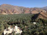 201 Birkat al Mauz &ndash; &copy; Patrick Fritzsche (Eberhardt TRAVEL)