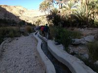 225 im Wadi Bani Khalid &ndash; &copy; Patrick Fritzsche (Eberhardt TRAVEL)