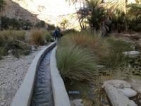 226 im Wadi Bani Khalid &ndash; &copy; Patrick Fritzsche (Eberhardt TRAVEL)