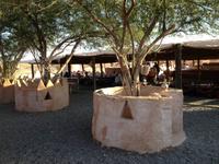 251 Safari Desert Camp &ndash; &copy; Patrick Fritzsche (Eberhardt TRAVEL)