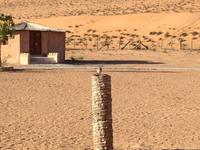 255 Safari Desert Camp &ndash; &copy; Patrick Fritzsche (Eberhardt TRAVEL)