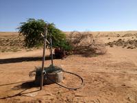 264 Wüstensafari &ndash; &copy; Patrick Fritzsche (Eberhardt TRAVEL)