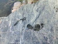 321 Wadi Tiwi &ndash; &copy; Patrick Fritzsche (Eberhardt TRAVEL)