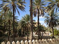 424 Fanja &ndash; &copy; Patrick Fritzsche (Eberhardt TRAVEL)