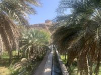051 Oase Birkat Al Mauz (Bananensee) &ndash; &copy; Patrick Fritzsche (Eberhardt TRAVEL)