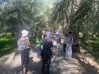 054 Oase Birkat Al Mauz (Bananensee) &ndash; &copy; Patrick Fritzsche (Eberhardt TRAVEL)