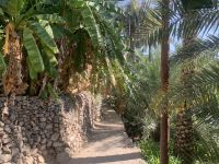 096 Misfat Al Abriyeen &ndash; &copy; Patrick Fritzsche (Eberhardt TRAVEL)