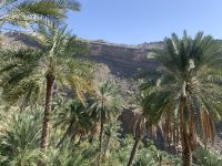 099 Misfat Al Abriyeen &ndash; &copy; Patrick Fritzsche (Eberhardt TRAVEL)