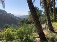 101 Misfat Al Abriyeen &ndash; &copy; Patrick Fritzsche (Eberhardt TRAVEL)