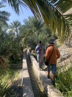 103 Misfat Al Abriyeen &ndash; &copy; Patrick Fritzsche (Eberhardt TRAVEL)