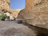 215 Wadi Bani Khalid &ndash; &copy; Patrick Fritzsche (Eberhardt TRAVEL)