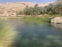 220 Wadi Bani Khalid &ndash; &copy; Patrick Fritzsche (Eberhardt TRAVEL)
