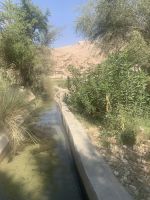 221 Wadi Bani Khalid &ndash; &copy; Patrick Fritzsche (Eberhardt TRAVEL)