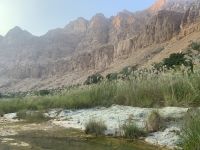 241 Wadi Tiwi &ndash; &copy; Patrick Fritzsche (Eberhardt TRAVEL)