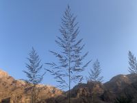 242 Wadi Tiwi &ndash; &copy; Patrick Fritzsche (Eberhardt TRAVEL)