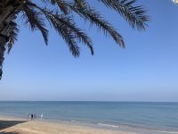 265 Muscat - Qurum Beach &ndash; &copy; Patrick Fritzsche (Eberhardt TRAVEL)