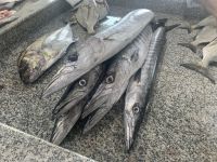 339 Barka Fischmarkt &ndash; &copy; Patrick Fritzsche (Eberhardt TRAVEL)