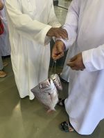 347 Barka Fischmarkt &ndash; &copy; Patrick Fritzsche (Eberhardt TRAVEL)