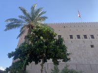 373 Al Hazm Fort &ndash; &copy; Patrick Fritzsche (Eberhardt TRAVEL)