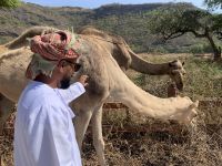 463 Wadi Darbat &ndash; &copy; Patrick Fritzsche (Eberhardt TRAVEL)