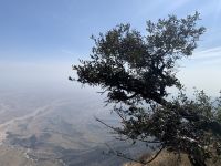 474 Jebel Samhan &ndash; &copy; Patrick Fritzsche (Eberhardt TRAVEL)