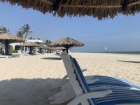561 Strandtag in Salalah &ndash; &copy; Patrick Fritzsche (Eberhardt TRAVEL)