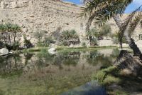 Wadi Bani Khalid &ndash; &copy; Frank Nimschowski (Eberhardt TRAVEL)