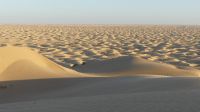 in der Rub Al Khali &ndash; &copy; Frank Nimschowski (Eberhardt TRAVEL)