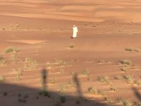 Wüstenspaziergang &ndash; &copy; Irmela Körner (Eberhardt TRAVEL)