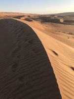 Wüstendüne &ndash; &copy; Irmela Körner (Eberhardt TRAVEL)