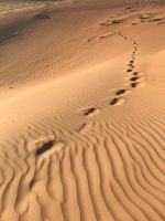 Spuren im Sand