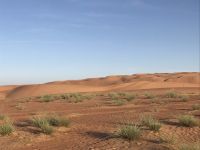 Mageres Grün &ndash; &copy; Irmela Körner (Eberhardt TRAVEL)
