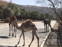 &copy; Irmela Körner (Eberhardt TRAVEL)