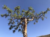 &copy; Irmela Körner (Eberhardt TRAVEL)