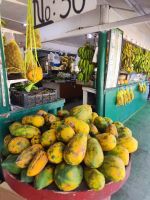 IMG 20231119 115934 &ndash; &copy; Philip Seidel (Eberhardt TRAVEL)