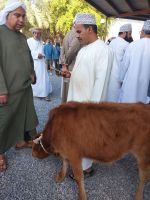 Viehmarkt Nizwa &ndash; &copy; Frank Nimschowski (Eberhardt TRAVEL)