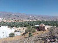 Oase Al Hamra &ndash; &copy; Frank Nimschowski (Eberhardt TRAVEL)